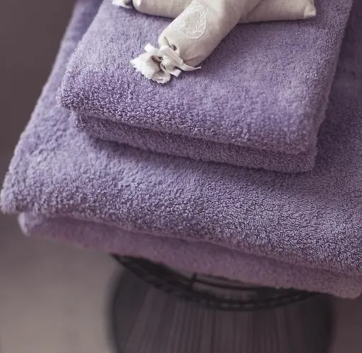 帕赛欧格蕾西亚酒店 酒店 *